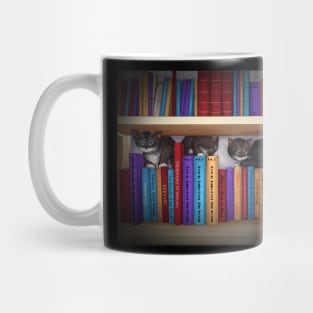 Kitten Bookshelf Mug